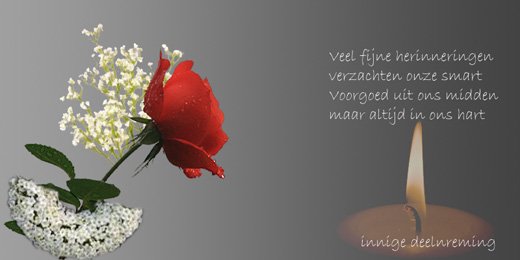 deelneming_0008